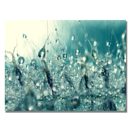 Trademark Fine Art Beata Czyzowska 'Under the Sea' Canvas Art, 18x24 BC0053-C1824GG